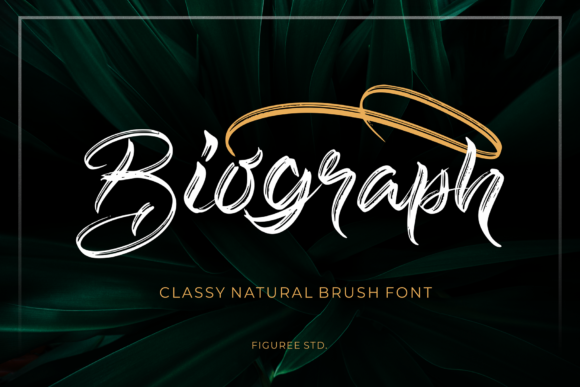 Biograph: A Versatile Script for Creative Projects