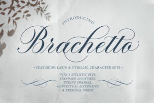 Brachetto: A Magical Script Font for Creative Makers