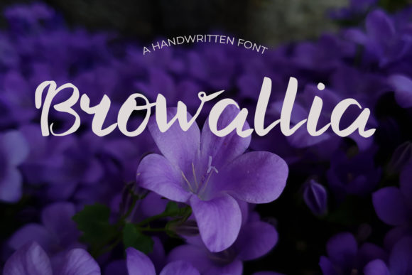 Browallia: A Charming Handwritten Font for Engaging Design