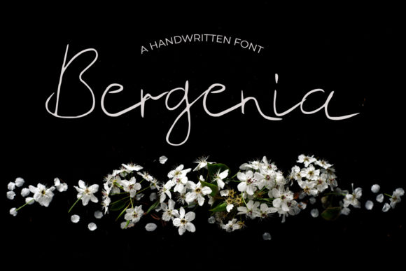 Discovering Bergenia: A Handwritten Font for Editorial Elegance