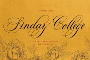 Elevate Your Brand with Sinday College: A Delicate and Elegant Font