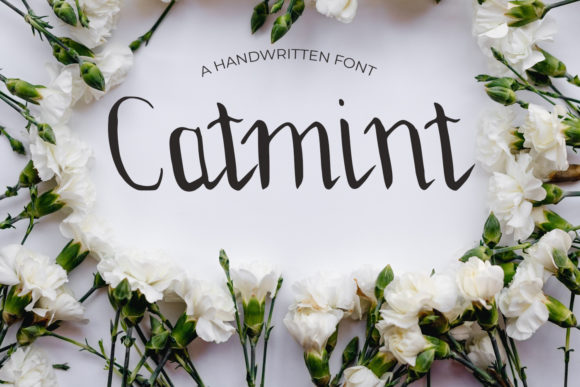 Enhance Your Brand with Catmint: A Versatile Script Font
