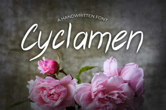 Enhancing Your Web Design with Cyclamen Font